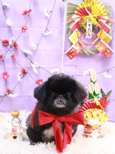 20230107つきみちゃん